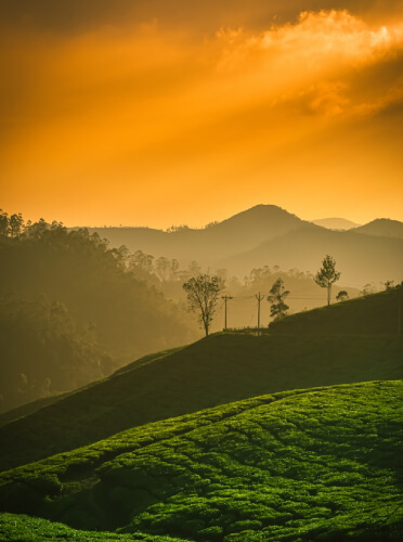 Munnar