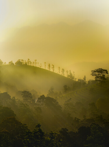 Vagamon